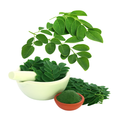 Moringa Leaf